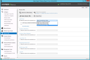 Advanced-Restore-Options